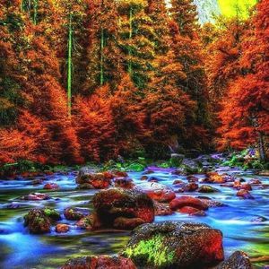 Meet your Posher, Judith